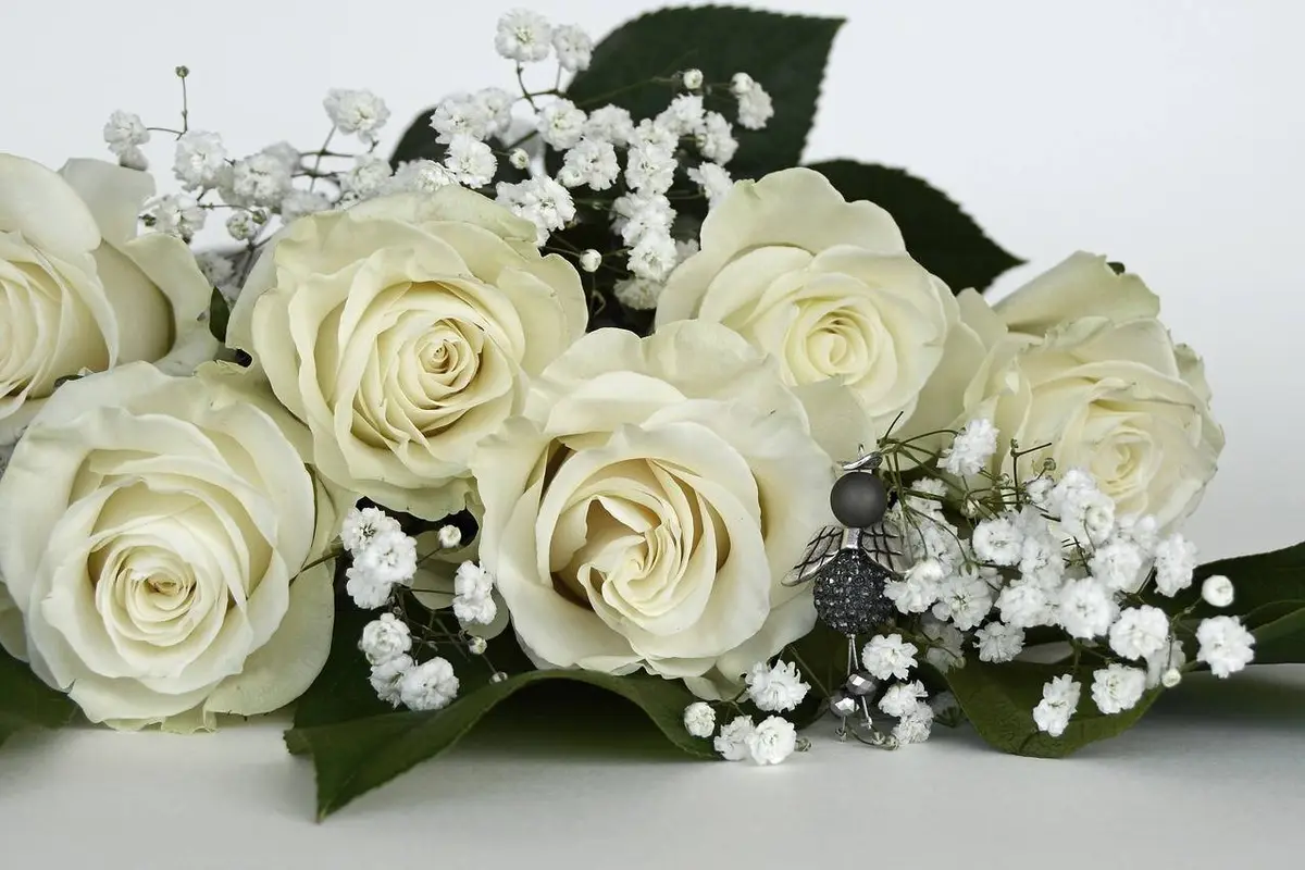 Soulmate Ceremonies - cover photo