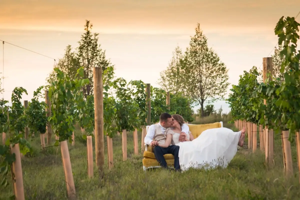 TellaStory Photography - cover photo