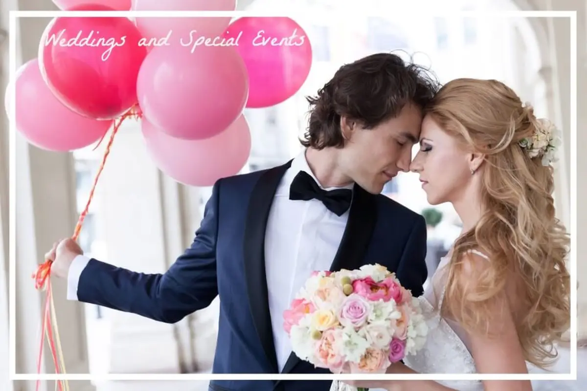 Ray Photography and Video - cover photo