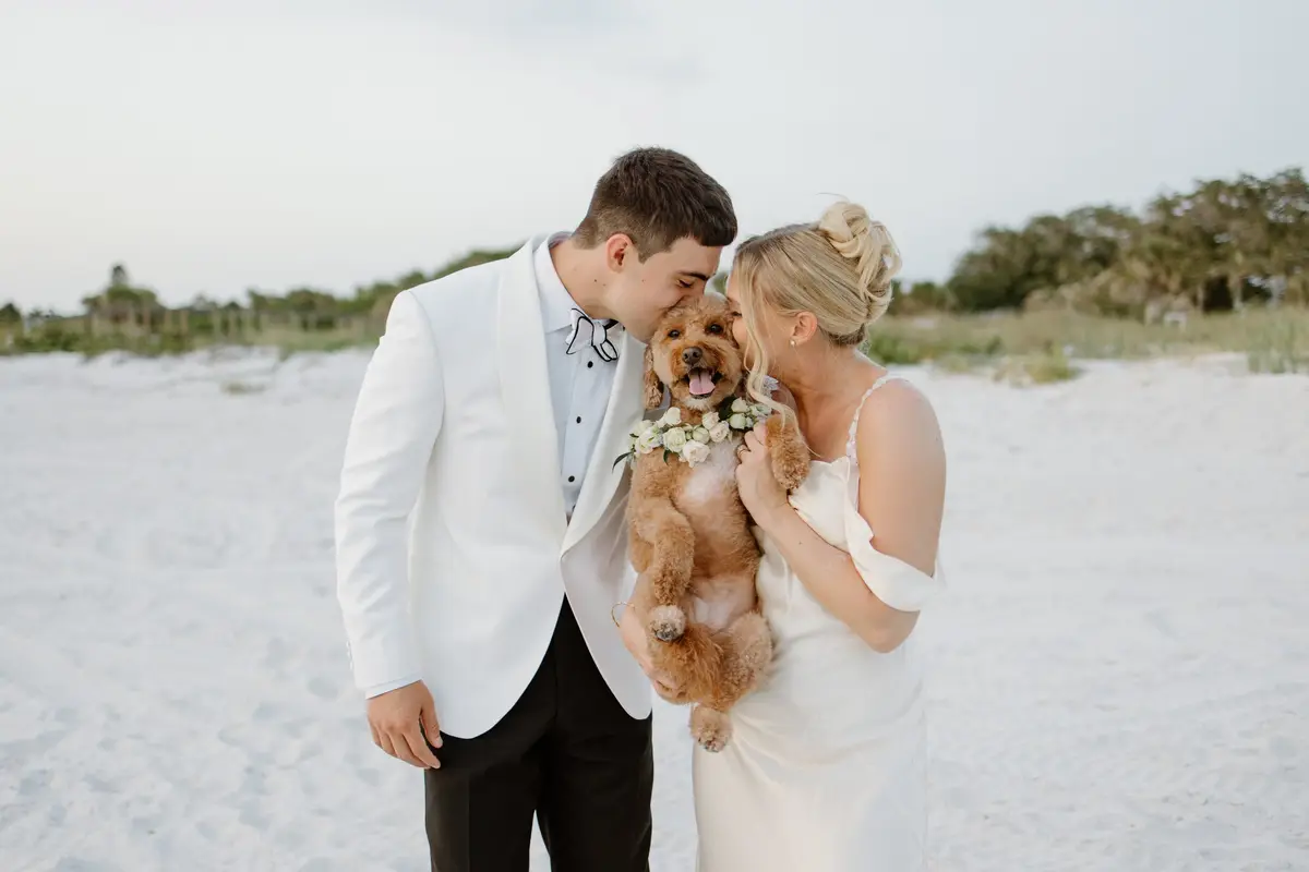 FairyTail Pet Care - cover photo