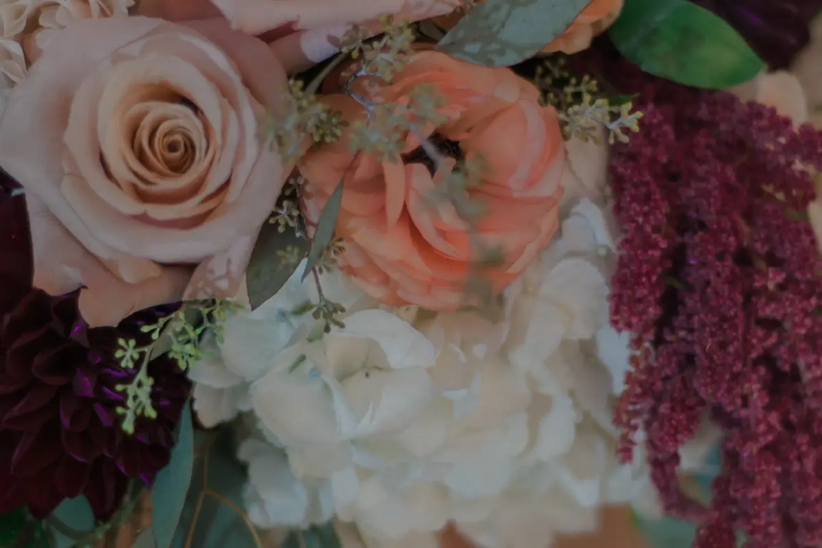 Festivities - cover photo