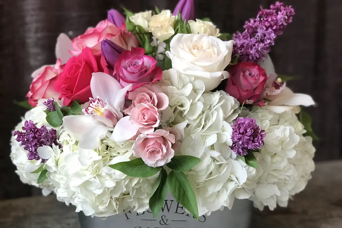 Claire's Flowers - cover photo