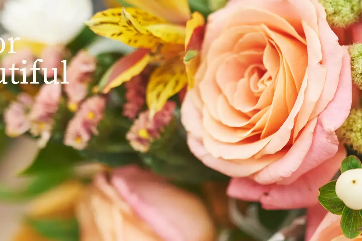 HB Florist-Queen's Flowers - cover photo