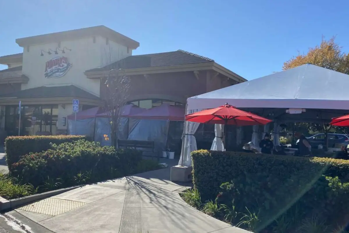 Mary's Pizza Shack - cover photo