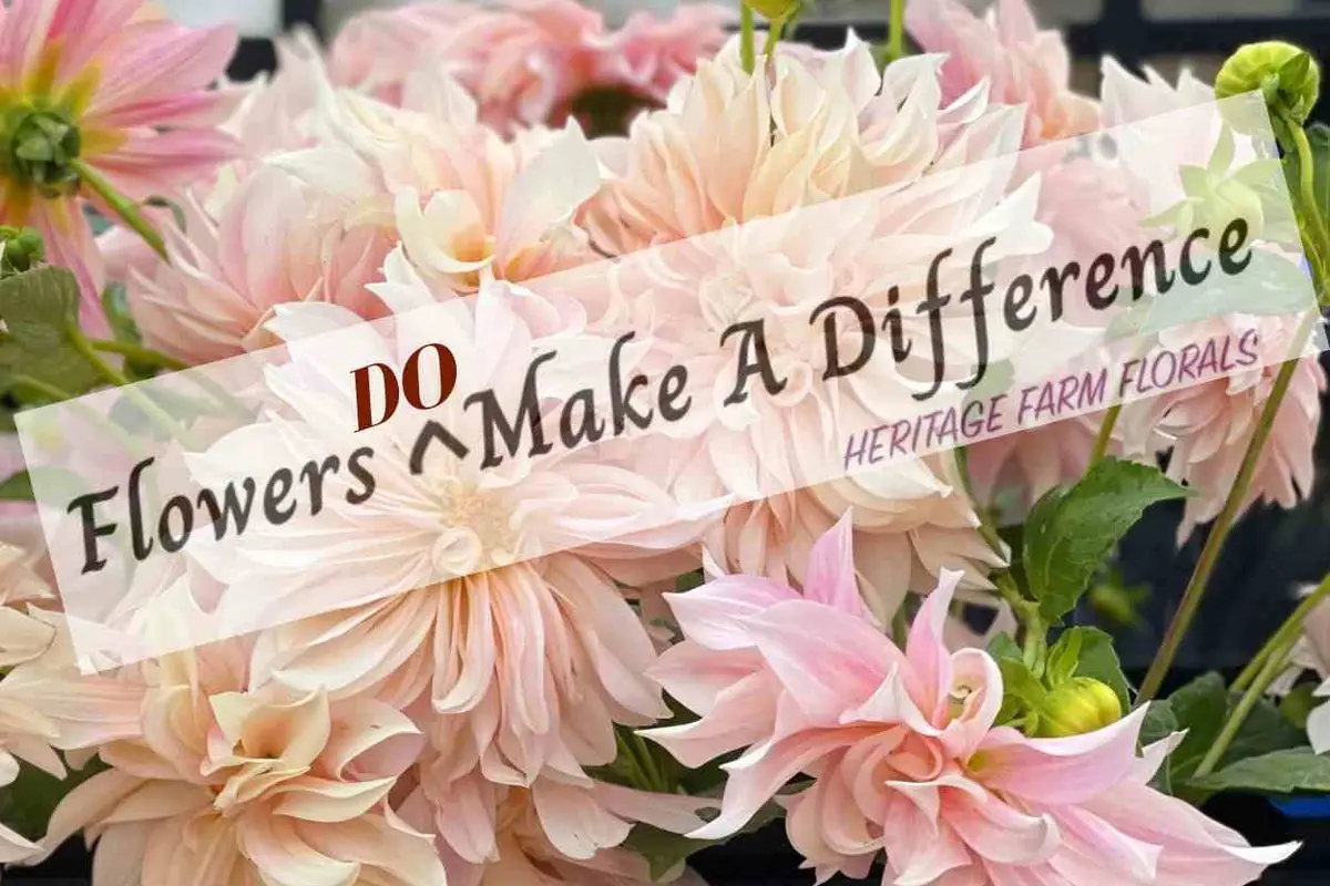 Heritage Farm Florals ~ Flower Farming Fun - cover photo