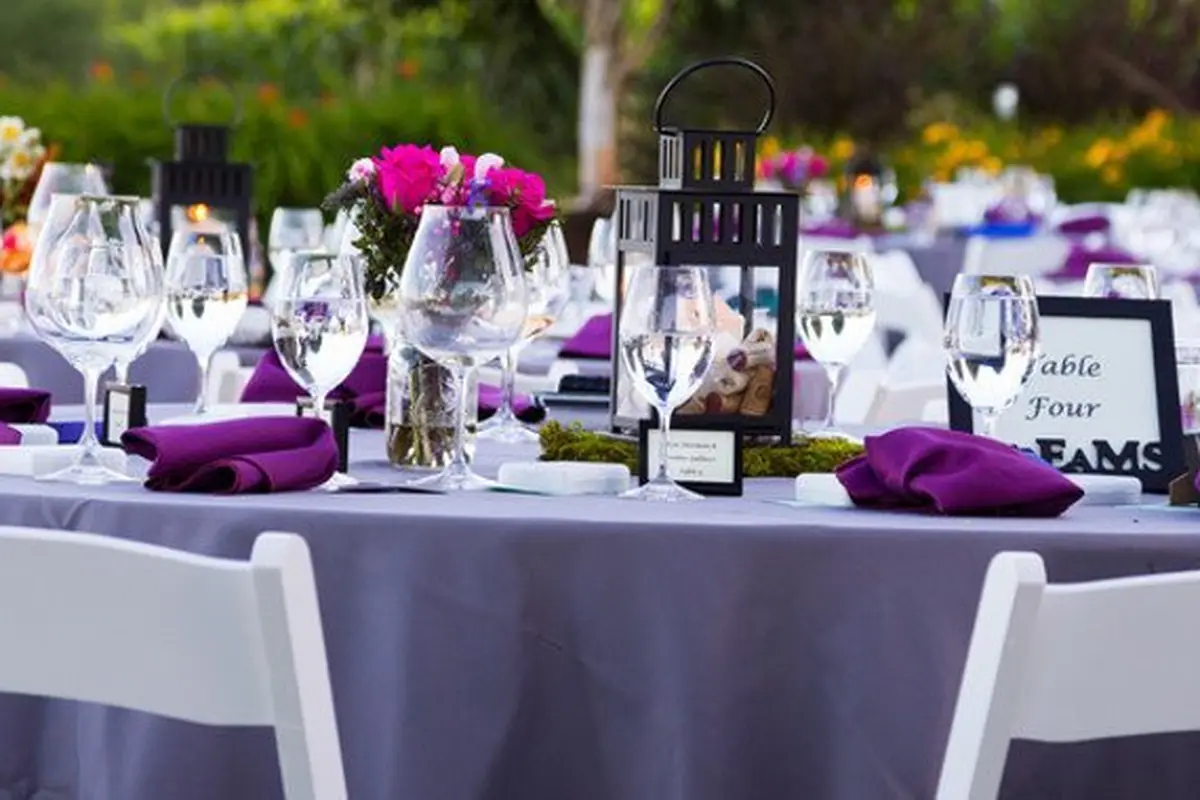 Elite Party Rentals - cover photo