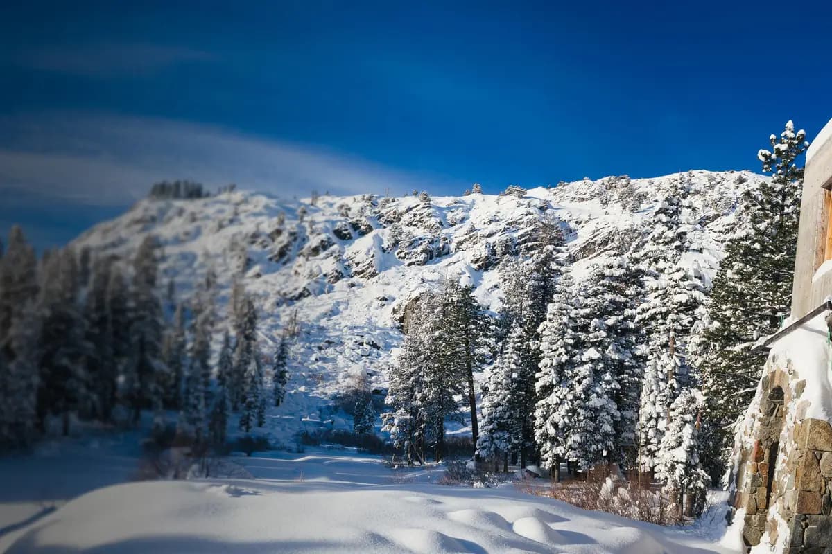White Wolf Tahoe - cover photo