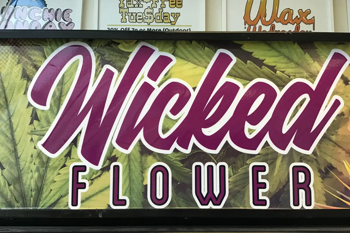 Wicked Flower Shop - cover photo