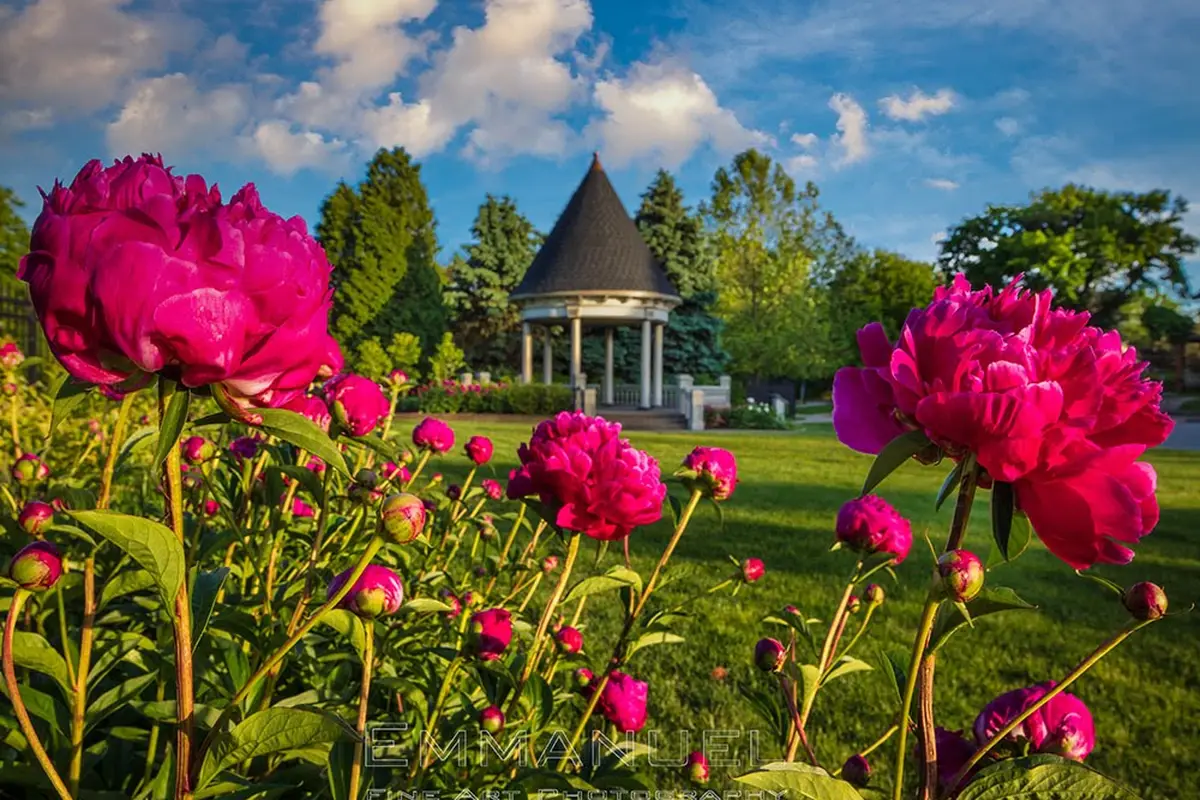 Beaver Station Cultural & Event Center - cover photo