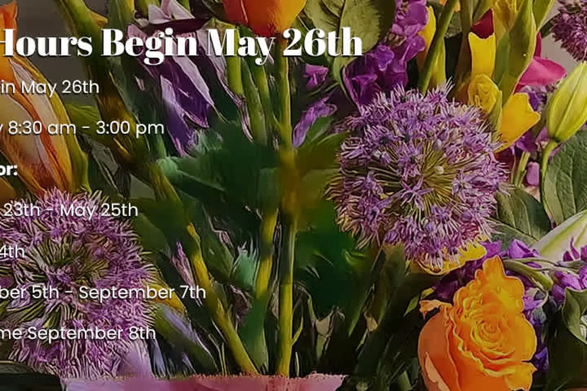 Candlelight Florist, Gifts & Flower Delivery - cover photo