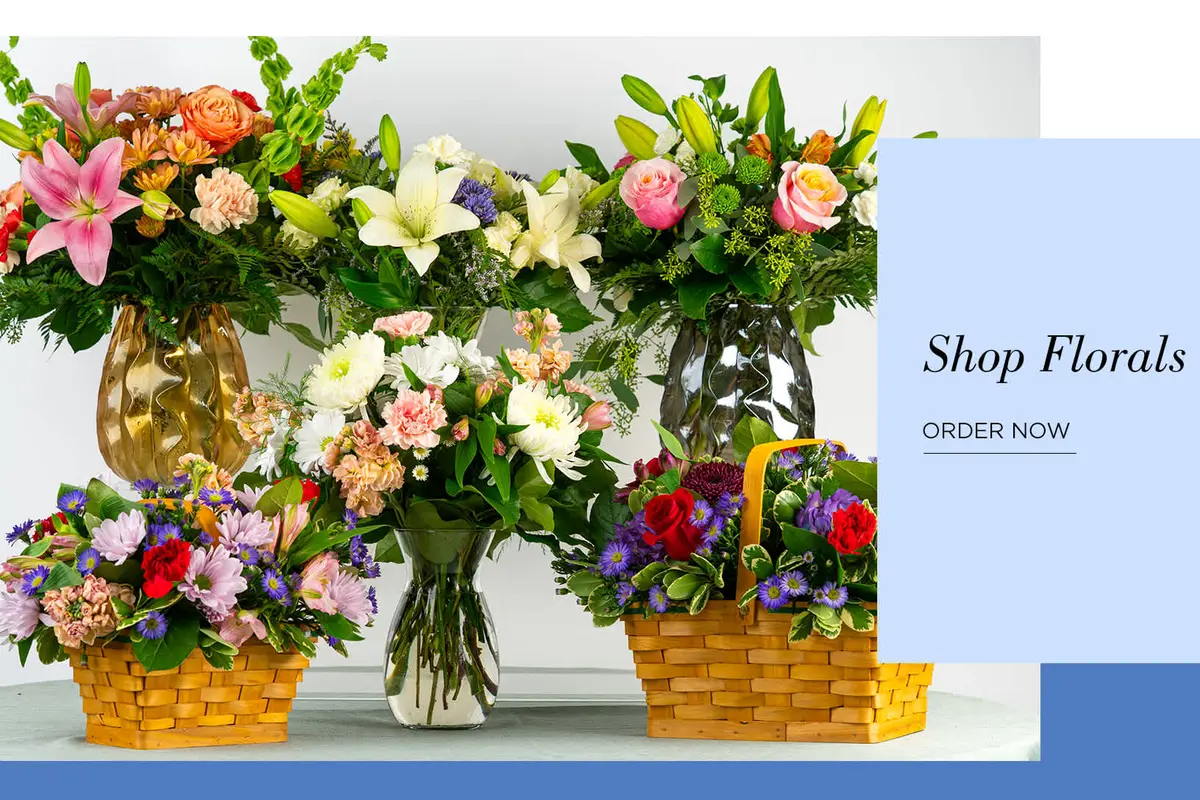 Schultz Floral - cover photo