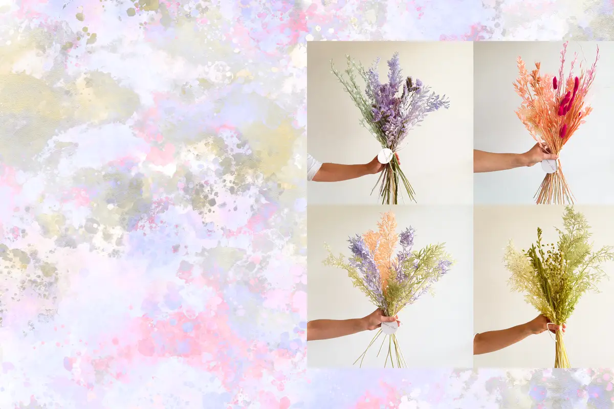 House of Lilac - cover photo