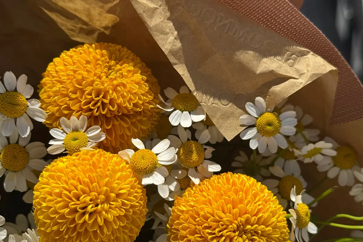 BloomNook Flowers - cover photo