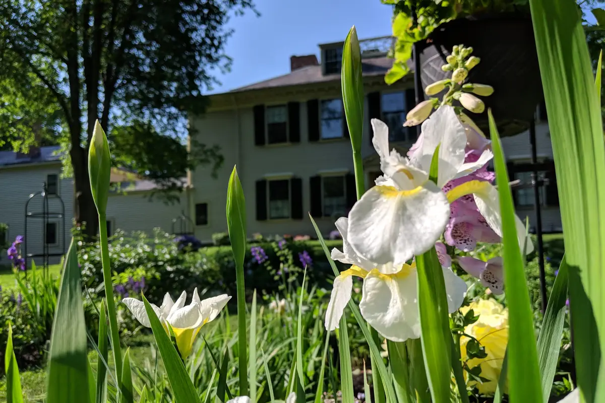 Loring Greenough House - cover photo