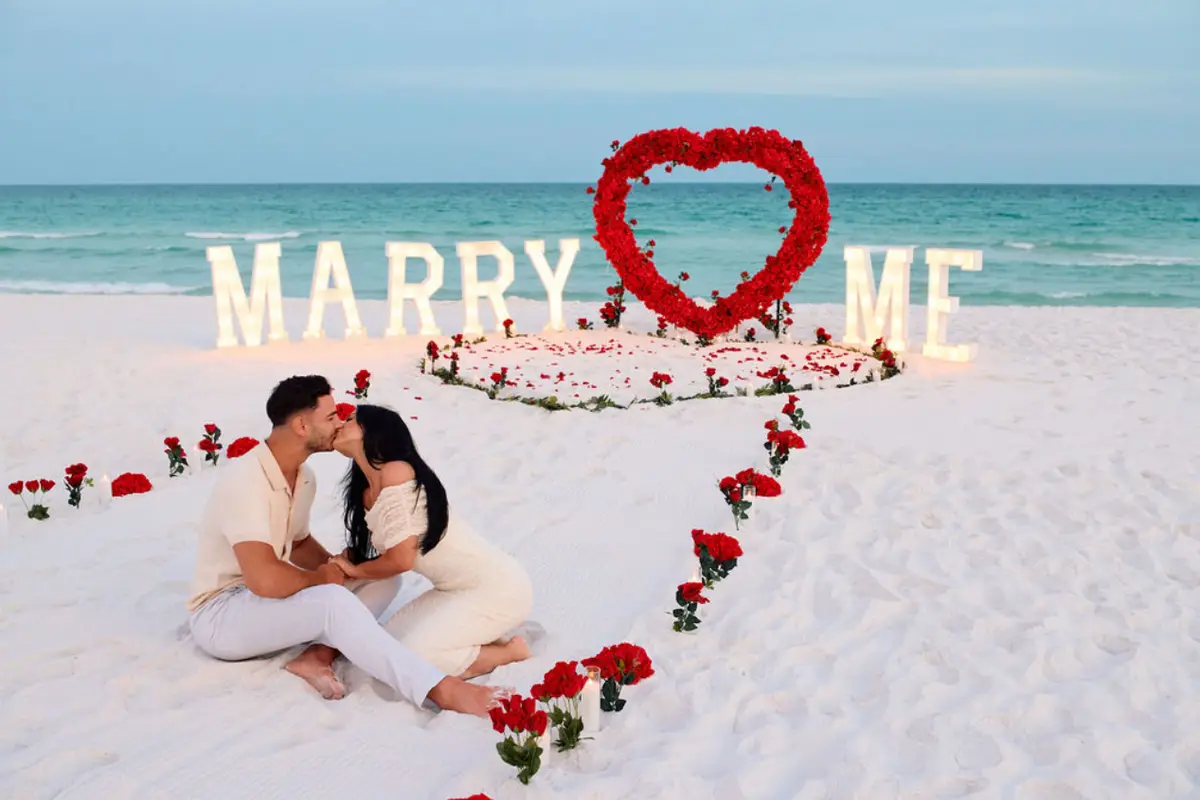 Seashell Wedding Company - cover photo