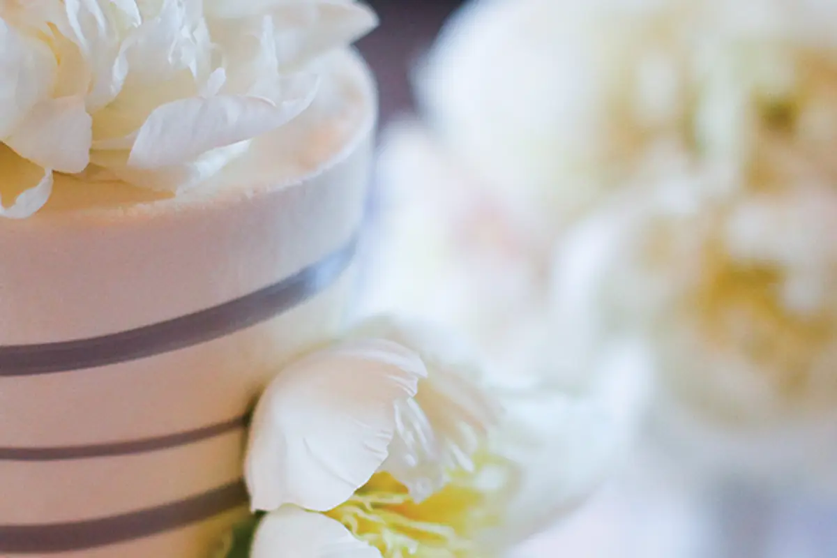 The Cakery - cover photo