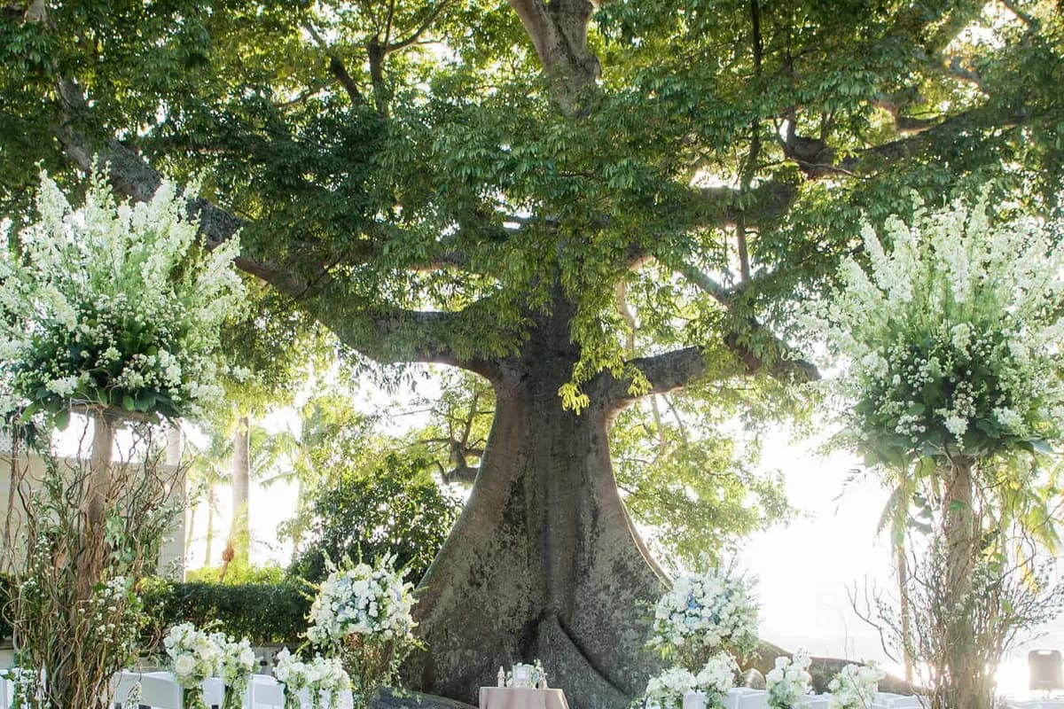 Dalsimer Atlas Floral & Event Decorators - cover photo