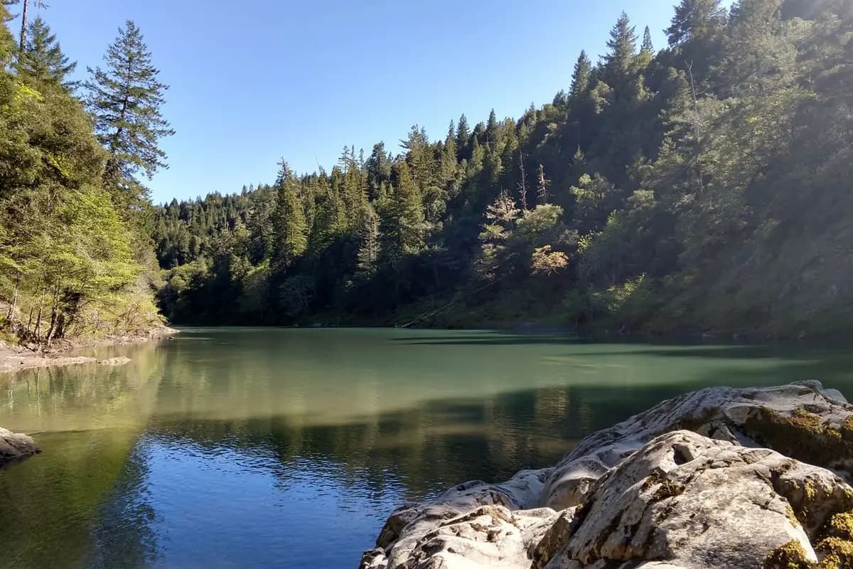 Redwoods River Resort and Pub - cover photo