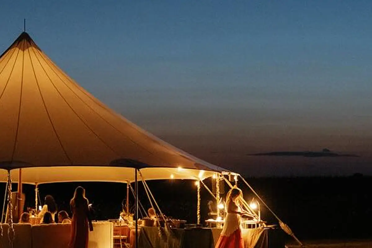 Ace Party Rental - cover photo