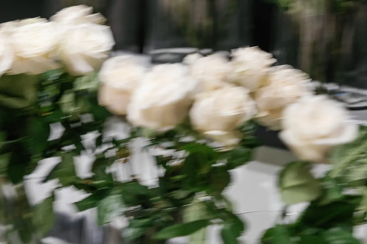 Molly Murphy Photography - cover photo